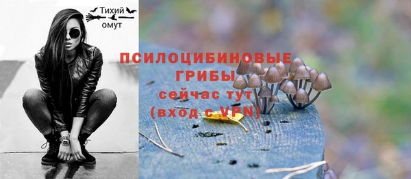 МДПВ Белокуриха