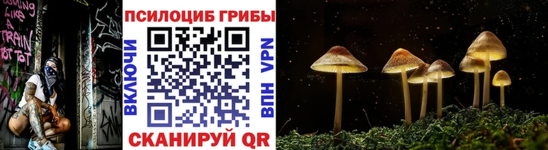 ОМГ ОМГ онион  Первомайск  Галлюциногенные грибы Psilocybine cubensis 